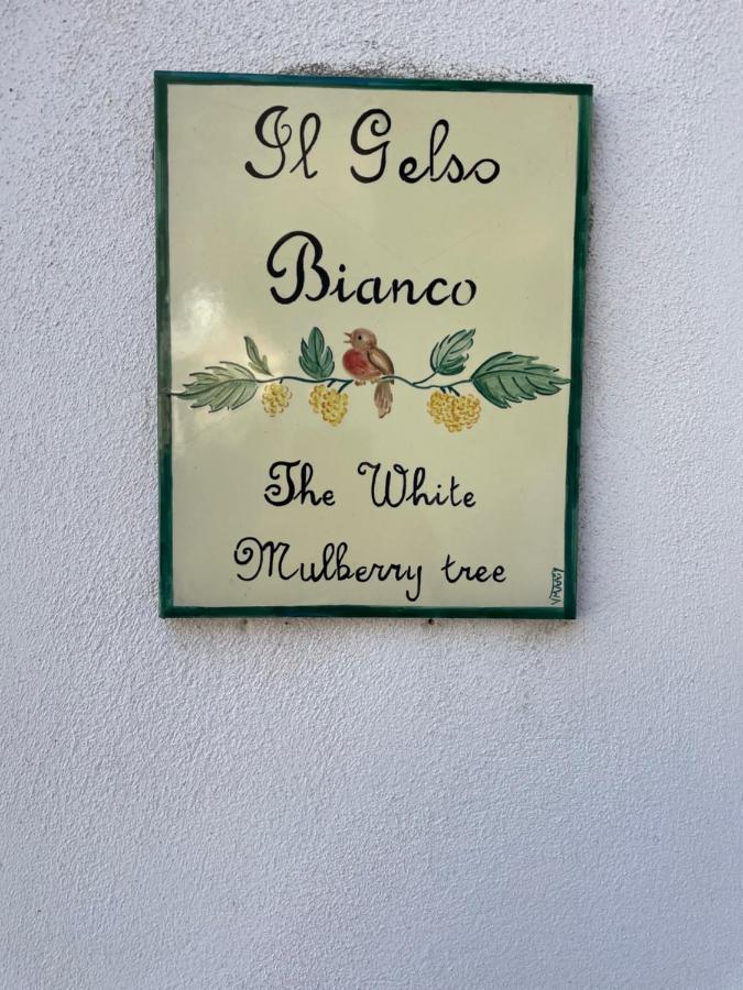 ラヴェッロ Il Gelso Bianco -The White Mulberry Treeヴィラ エクステリア 写真